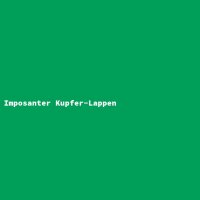 Imposanter Kupfer-Lappen