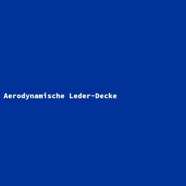 Aerodynamische Leder-Decke