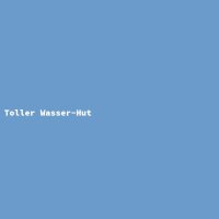 Toller Wasser-Hut