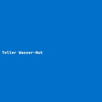 Toller Wasser-Hut