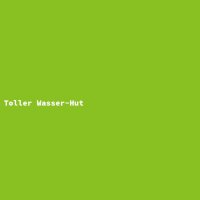 Toller Wasser-Hut