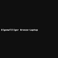 Eigenwilliger Bronze-Laptop