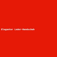 Eleganter Leder-Handschuh