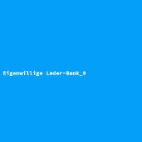 Eigenwillige Leder-Bank_9