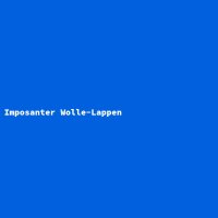 Imposanter Wolle-Lappen