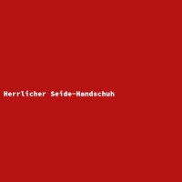 Herrlicher Seide-Handschuh