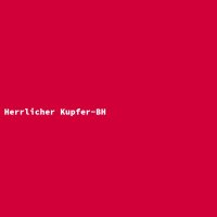 Herrlicher Kupfer-BH