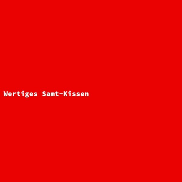 Wertiges Samt-Kissen