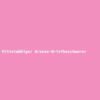 Mittelm&auml;&szlig;iger Bronze-Briefbeschwerer