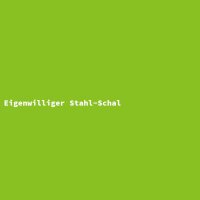 Eigenwilliger Stahl-Schal