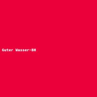 Guter Wasser-BH