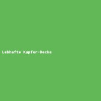 Lebhafte Kupfer-Decke