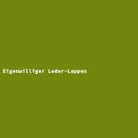 Eigenwilliger Leder-Lappen