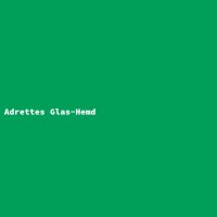 Adrettes Glas-Hemd