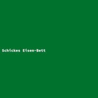 Schickes Eisen-Bett