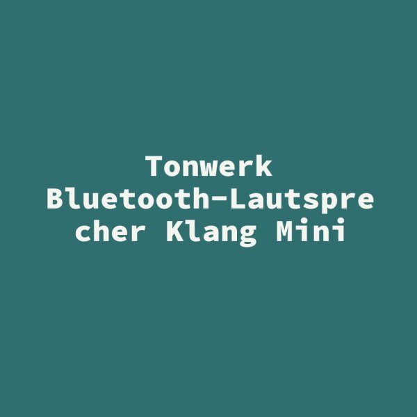 Tonwerk Bluetooth-Lautsprecher Klang Mini