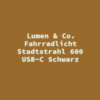 Lumen & Co. Fahrradlicht Stadtstrahl 600 USB-C Schwarz