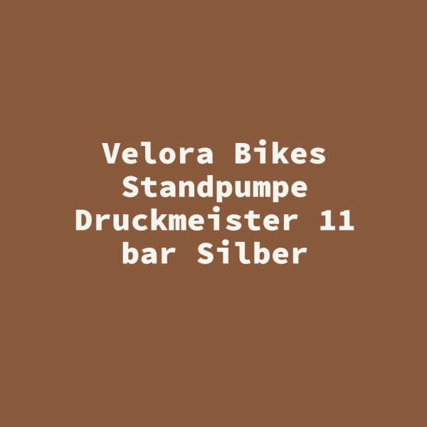 Velora Bikes Standpumpe Druckmeister 11 bar Silber