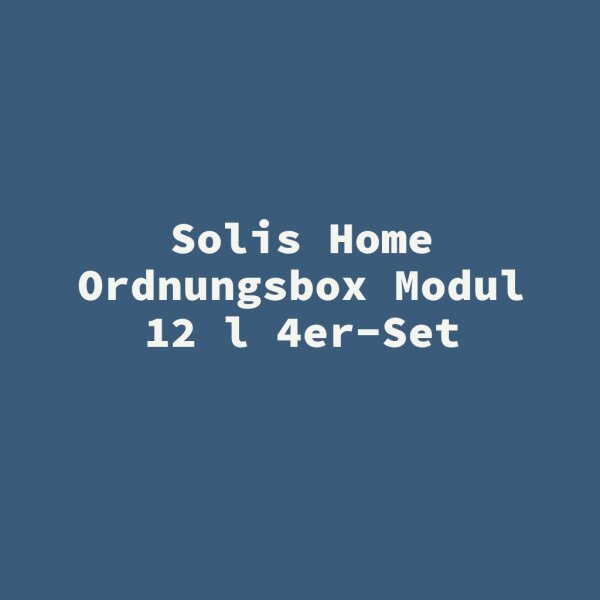 Solis Home Ordnungsbox Modul 12 l 4er-Set