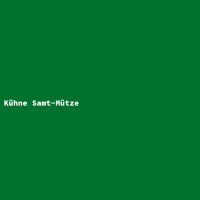 K&uuml;hne Samt-M&uuml;tze
