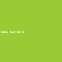K&uuml;hne Samt-M&uuml;tze