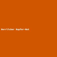 Herrlicher Kupfer-Hut