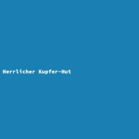 Herrlicher Kupfer-Hut