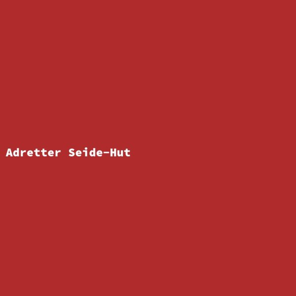Adretter Seide-Hut