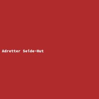 Adretter Seide-Hut