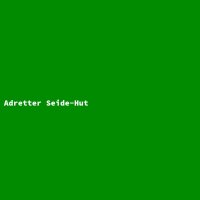 Adretter Seide-Hut
