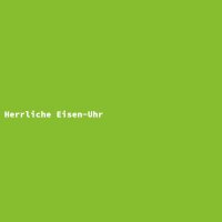 Herrliche Eisen-Uhr