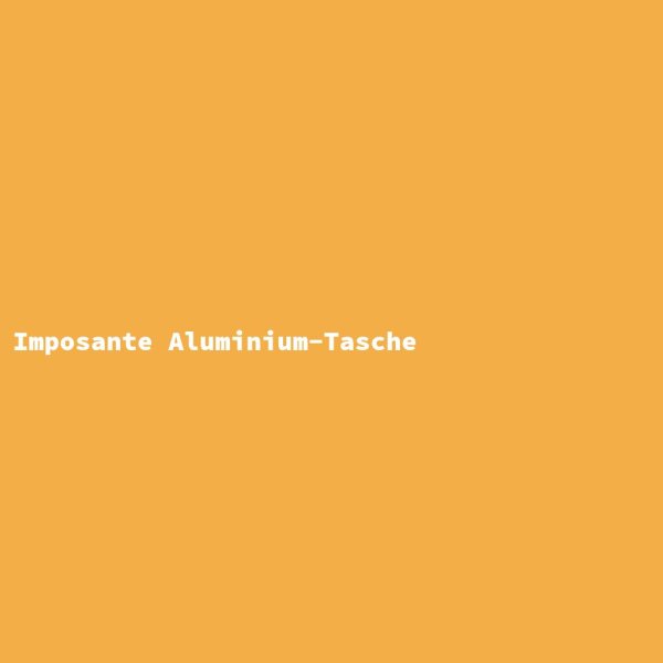 Imposante Aluminium-Tasche